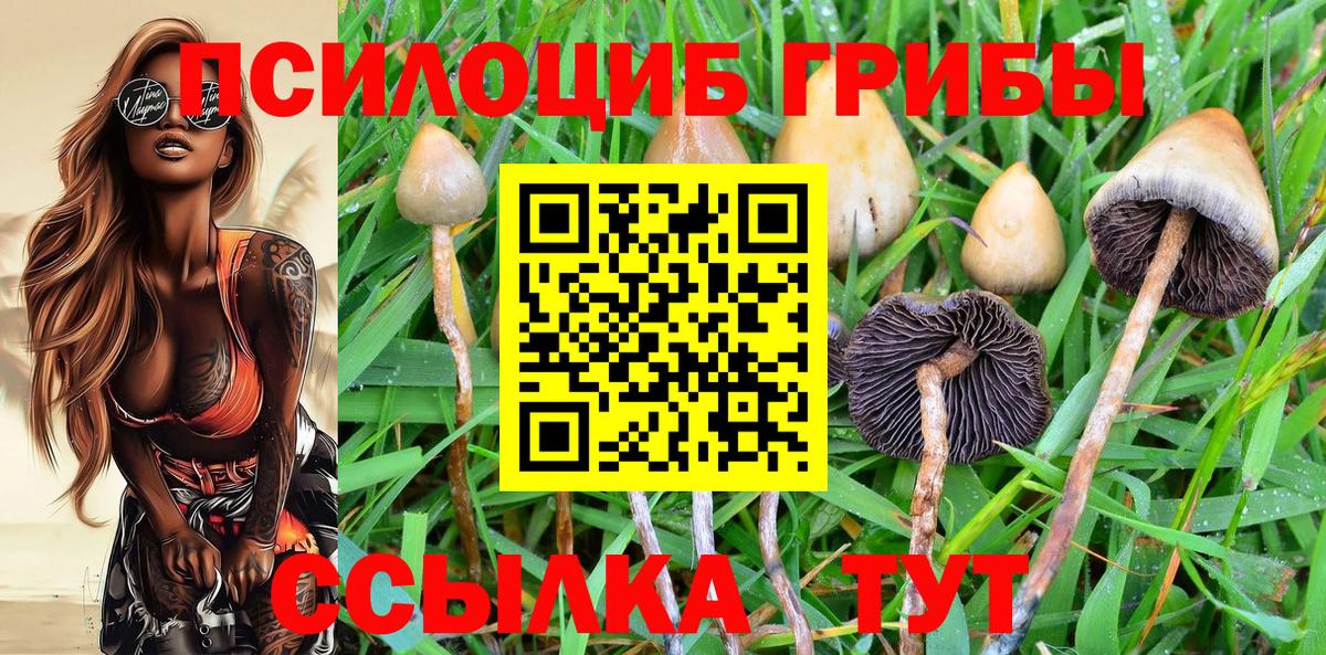 Псилоцибиновые грибы Cubensis  Вход с VPN  Дзержинский 