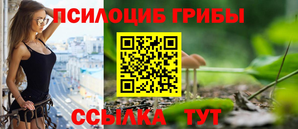 Галлюциногенные грибы Magic Shrooms Дзержинский